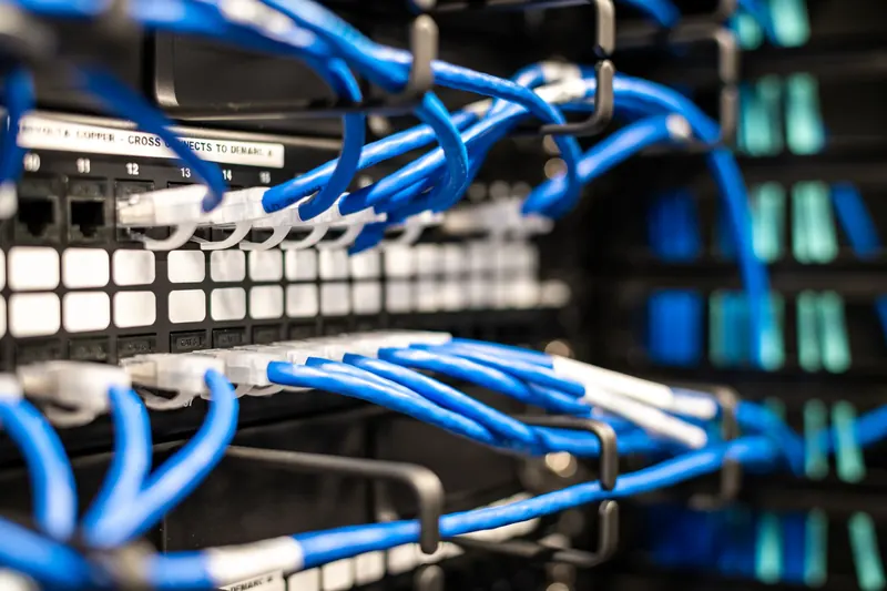 Modré síťové kabely zapojené do patch panelu v serverovém racku
